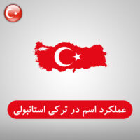 عملکرد اسم در زبان ترکی استانبولی
