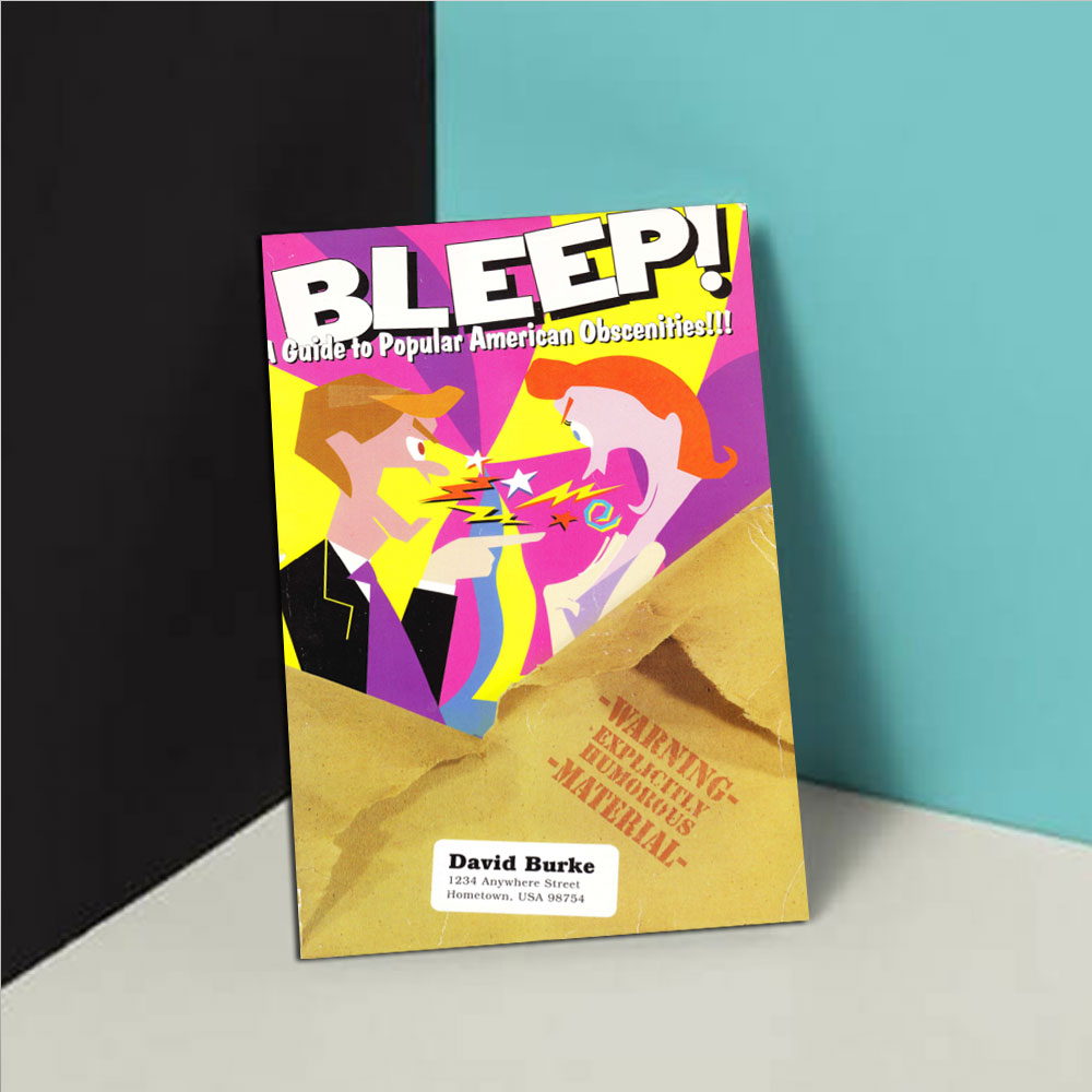 کتاب Bleep A Guide to Popular American Obscenities
