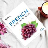 کتاب Collins French Visual Dictionary