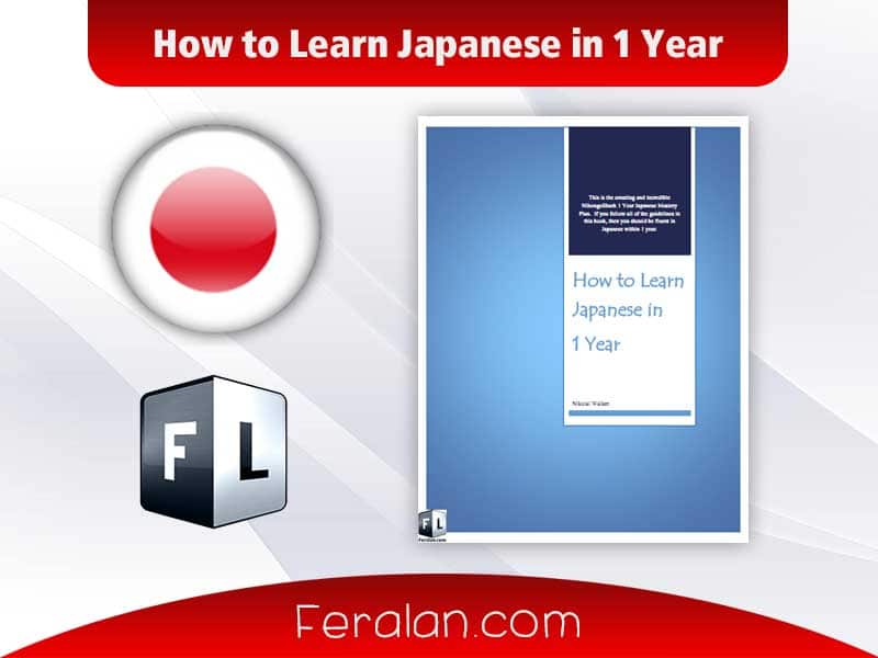 How to Learn Japanese in 1 Year