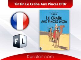 دانلود کتاب TinTin Le Crabe Aux Pinces D'Or (نسخه فرانسوی)